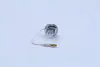 Автолампа галогенова 55W OSRAM 64151-01B (фото 4)