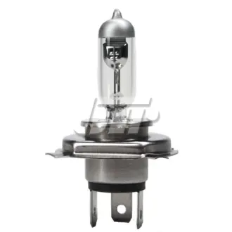 Автомобільна лампа OSRAM 64181L