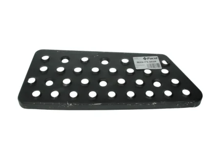 Сходинка кабіни сходинка кабіни Прав MAN F2000 01.94- Pacol MANFS003R