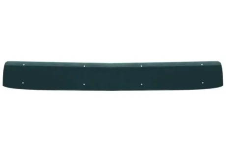 Сонцезахисний козирок MAN TGX I 06.06-09.21 Pacol MANUP002