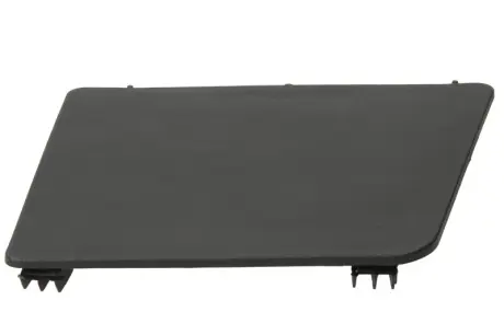 Сходинка кабіни заглушка Лів RVI T 01.13- PACOL RVI-SP-024L