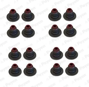 Комплект сальників клапанів Payen HR5126