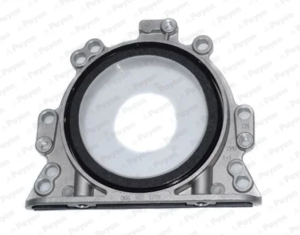 VW сальник к/вала задн (з корпусом.) AUDI, SEAT, SKODA Payen LK5003