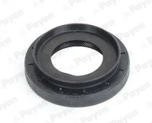 RENAULT сальник дифферинциала 55*33*13мм CAPTUR II TCe 100, DUSTER, FLUENCE 05-, NISSAN, DACIA Payen NA5494