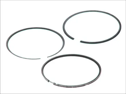 Направляюча ланцюга ГРМ CITROEN C4, C4 GRAND PICASSO I, C4 GRAND PICASSO II, C4 I, C4 PICASSO I, C4 PICASSO II, C5 III, DS3, DS4, DS5 MINI (R56), (R57), (R58), (R59) 1.6 02.06- Peugeot/Citroen 081831