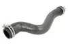 Шланг з\&#039;єднуючий (верх) CITROEN BERLINGO MULTISPACE, C4 II, C4 PICASSO I, DS4 PEUGEOT 3008, 308 I, 5008, PARTNER TEPEE 1.6D 04.08- Peugeot/Citroen 1343LP (фото 1)