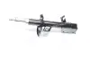 Амортизатор PMC PJW-011FL (фото 1)