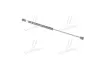 Амортизатор багажника HYUNDAI PARTS-MALL) PMC PQA-202 (фото 3)