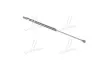 Амортизатор багажника Lacetti HB PARTS-MALL) PMC PQC-203 (фото 3)
