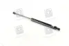 Амортизатор багажника CHEVROLET TACUMA; REZZO (U100) PARTS-MALL) PMC PQC-211 (фото 1)