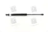 Амортизатор багажника CHEVROLET TACUMA; REZZO (U100) PARTS-MALL) PMC PQC-211 (фото 3)