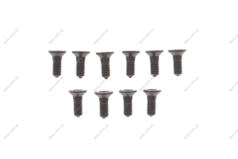 Болт кріплення диска гальмівного Hyundai Santa Fe/Kia Sportage 01- (к-кт 10шт) Quick Brake 11667-10K (фото 1)