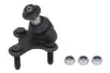 Шарова опора Лів (нижн передн) (діаметр конуса 15,2mm) AUDI A3, Q2, Q3 SEAT ALHAMBRA, ATECA, LEON, LEON SC, LEON SPORTSTOURER, LEON ST, LEON ST/KOMBI, TARRACO SKODA KAROQ 1.0-Electric 08.03- REINHOCH RH03-0025 (фото 1)