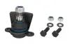 Шарова опора Лів/Прав (нижн передн) (діаметр конуса 18,6mm) FORD GALAXY I, GALAXY MK I SEAT ALHAMBRA VW SHARAN 1.8-2.8 03.95-03.10 REINHOCH RH03-4017 (фото 1)