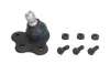 Шарова опора Лів/Прав (нижн передн) (діаметр конуса 18mm) CHEVROLET ASTRA, ZAFIRA OPEL ASTRA F CLASSIC, ASTRA G, ASTRA G CLASSIC, ASTRA G/KOMBI, ASTRA H, ASTRA H CLASSIC 1.2-3.2 03.94- REINHOCH RH03-5008 (фото 1)