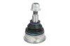 Шарова опора Лів/Прав (нижн передн) CHRYSLER GRAND VOYAGER V, TOWN & COUNTRY, VOYAGER V DODGE GRAND 2.8D-4.0 10.07- REINHOCH RH03-6003 (фото 1)
