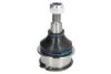 Шарова опора Лів/Прав (нижн передн) CHRYSLER 200, SEBRING DODGE AVENGER, JOURNEY FIAT FREEMONT LANCIA FLAVIA 2.0-3.6ALK 09.06- REINHOCH RH03-6009 (фото 1)