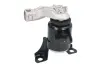 Подушка двигуна передн Прав, гідравлічний FORD B-MAX, FIESTA, FIESTA VI 1.0-1.6D 06.08- REINHOCH RH11-4053 (фото 1)