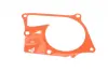 Комплект ГРМ + помпа Kangoo/Laguna/Megane/Scenic/Duster/Nissan 1.5dCi 09- (123x27) RENAULT 119A02552R (фото 2)