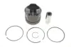 Поршень RENAULT 120A17699R (фото 1)