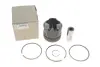 Поршень RENAULT 120A17699R (фото 5)