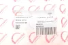 Патрубок інтеркулера Renault Megane II/Scenic II 1.5dCi 03- ROTWEISS RWS2701 (фото 6)