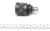Опора кульова (передня/знизу) Kia Clarus 96-/Mazda 626 82-97/Ford Probe (США) 88-98(d=42.45mm/18mm) RTS 93-08020 (фото 3)