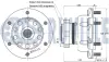 FORD Подшипник передн. ступицы с магнитным сенсорным кольцом Transit 13- (сдвоенные задн. колеса) RUVILLE 221896 (фото 2)