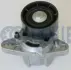 RENAULT Ролик натяж. Kangoo 1,4/1,6 16V Dacia, Nissan RUVILLE 541376 (фото 1)