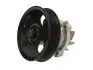 Насос охолоджуючої рідини ALFA ROMEO MITO CHEVROLET AVEO CITROEN NEMO, NEMO/MINIVAN FIAT 500, 500 C, 500L, 500X, DOBLO, DOBLO CARGO, DOBLO/MINIVAN, FIORINO, FIORINO/MINIVAN 1.3D/1.4 06.03- SIL PA1393 (фото 1)