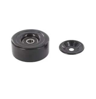 Ролик ГРМ Nissan Navara/Pathfinder III натяжной) 05- 6.5) SKF VKM 62027