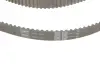 Комплект ГРМ VW Caddy/Sharan/Seat Ibiza 1.9TDI/SDI 95-06 (25x137) SKF VKMA 01019 (фото 3)