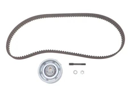 Роликовий модуль натягувача ременя (ролик, ремінь) SKF VKMA 01113