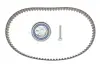 Комплект ГРМ Audi Q7/VW Touareg 3.0 V6 TDI 04-10, CASB/BUN/BUG/CATA/BKS VKMA 01332