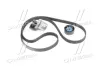 Роликовий модуль натягувача ременя (ролик, ремінь) SKF VKMA 36209 (фото 3)
