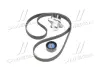 Роликовий модуль натягувача ременя (ролик, ремінь) SKF VKMA 36209 (фото 4)