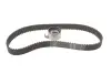 Комплект ГРМ Ford Ranger 2.5TD 99-06 SKF VKMA 94616 (фото 1)