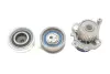 Комплект (ремінь+ролик+помпа) SKF VKMC 01130 (фото 6)