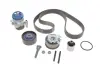 Комплект ГРМ + помпа Skoda Octavia/VW Passat 2.0 TDI 04-13 SKF VKMC 01259-1 (фото 1)