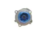 Комплект (ремінь+ролик+помпа) SKF VKMC 01918-2 (фото 6)