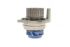 Комплект (ремінь+ролик+помпа) SKF VKMC 01918-2 (фото 7)