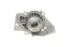Комплект ГРМ + помпа Citroen Berlingo/Jumpy/Peugeot Expert/Partner 2.0HDI 98-11 (25x141) SKF VKMC 03247 (фото 6)