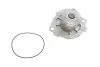 Комплект (ремінь+ролик+помпа) SKF VKMC 05194 (фото 14)