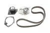 Комплект (ремінь+ролик+помпа) SKF VKMC 06008 (фото 1)