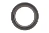 Комплект ланцюг натягувач SKF VKML 81001 (фото 7)