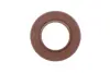Комплект привідного ланцюга SKF VKML 83503 (фото 10)