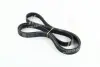 Поліклиновий ремінь (6PK1873) OPEL ASTRA G, ASTRA G/KOMBI, ZAFIRA A SEAT CORDOBA, IBIZA III, IBIZA IV, IBIZA IV SC, IBIZA IV ST, IBIZA IV/HATCHBACK, TOLEDO IV SKODA FABIA I 1.2-2.2D 02.98-02.18 SKF VKMV 6PK1873 (фото 1)