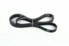 Поліклиновий ремінь (6PK1873) OPEL ASTRA G, ASTRA G/KOMBI, ZAFIRA A SEAT CORDOBA, IBIZA III, IBIZA IV, IBIZA IV SC, IBIZA IV ST, IBIZA IV/HATCHBACK, TOLEDO IV SKODA FABIA I 1.2-2.2D 02.98-02.18 SKF VKMV 6PK1873 (фото 3)