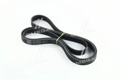 Поліклиновий ремінь (6PK1873) OPEL ASTRA G, ASTRA G/KOMBI, ZAFIRA A SEAT CORDOBA, IBIZA III, IBIZA IV, IBIZA IV SC, IBIZA IV ST, IBIZA IV/HATCHBACK, TOLEDO IV SKODA FABIA I 1.2-2.2D 02.98-02.18 SKF VKMV 6PK1873