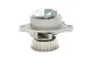 Насос водяний AUDI, SEAT, VW SKF VKPC 81407 (фото 6)